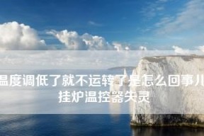 解决壁挂炉大宇牌故障的方法与技巧（掌握关键维修点）