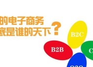 B2B电商平台的发展与未来趋势（探索B2B电商平台的关键特点）