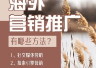 海外网络推广的方法及策略（探索海外市场）